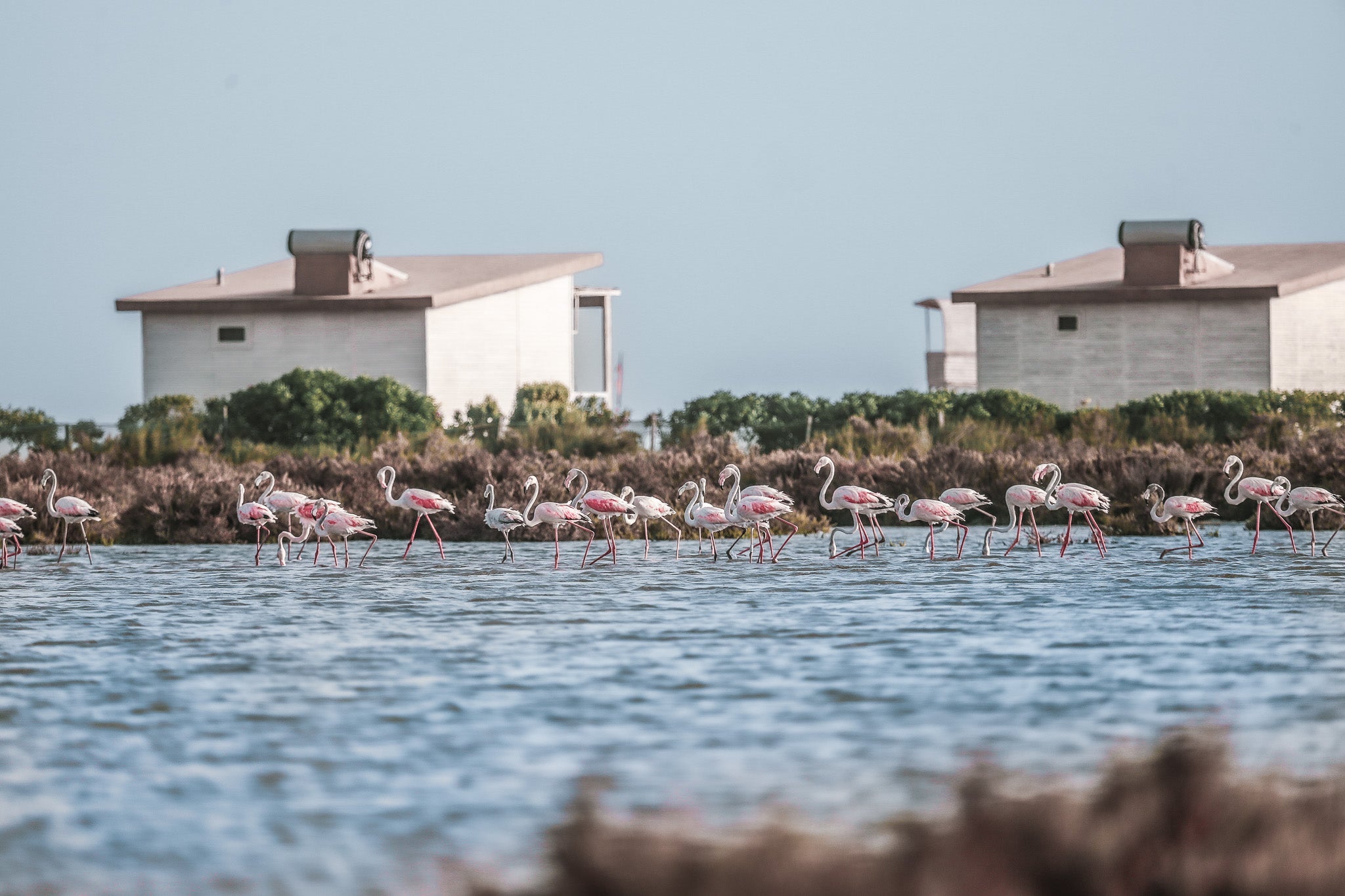 Stage Downwind SUP foil Dakhla