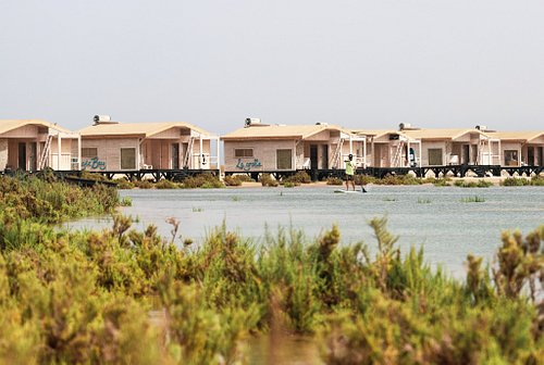 Stage Downwind SUP foil Dakhla